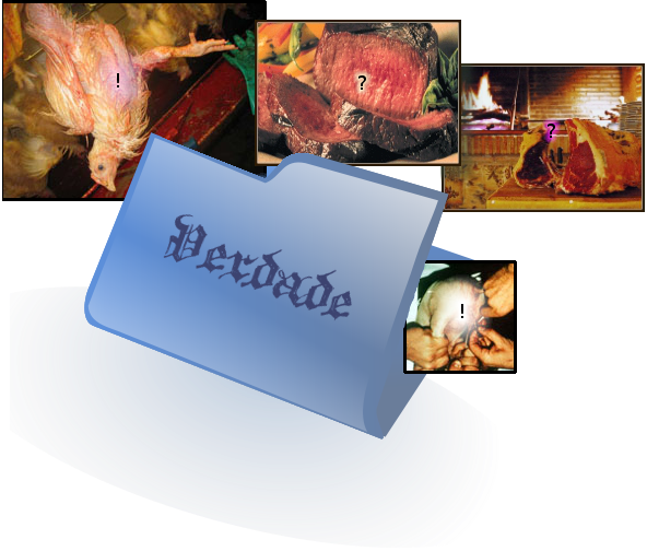 produ&ccedil;&atilde;o de carne — a verdade por tr&aacute;s